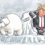 Editorial cartoons for Saturday, June 3