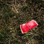 A piece of forgotten watermelon in the campgrounds on day three of the annual Sasquatch! Music Festival on Sunday, May 28, 2017 in George, Wa. (Daniella Beccaria / For the Herald )