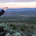 Joe Krenowicz, executive director of the Madras-Jefferson County Chamber of Commerce, gestures toward Mount Jefferson as the sun rises over Madras, Oregon. On Aug. 21, the first place to experience total darkness as the moon passes between the sun and the Earth will be in Oregon and Madras, in the central part of the state. Madras is expected to be a prime viewing location. (AP Photo/Gillian Flaccus)