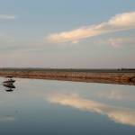 A motorboat cruises down Whiskey Slough in the Sacramento-San Joaquin Delta, just outside of Stockton, California. (Katie Falkenberg/Los Angeles Times/TNS)