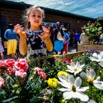Penny Creek Elementary School second-grader Roya Farhat, 7, explains why the raised flower beds planted with mixed flowers and vegetables are good for bees, and why bees are important to us, Friday during a celebration of the great job they did creating the garden. (Dan Bates / The Herald)