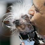 Dane Andrew of Sunnyvale, California, kisses his dog, Rascal, a Chinese crested, before the start of the World&rsquo;s Ugliest Dog Contest at the Sonoma-Marin Fair on Friday in Petaluma, California. (Eric Risberg / Associated Press)
