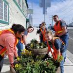 Everett Christian School students (from left) Audriel Hays, Alex Bird, Logan Hoerster and Peyton Lathrop with teacher Dan Davelaar help plant flowers May 19 in downtown Everett as part of the school&rsquo;s Serve-a-Thon. (Contributed photo)