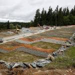 Parkview Ridge, a 54-home devleopment, is seen in Bothell on Thursday, June 1. (Ian Terry / The Herald)