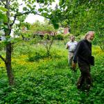 Songaia residents Scott &ldquo;Scotty&rdquo; Buckley (right) and Patrick Paul walk through the community&rsquo;s 13-acre property in Bothell on Thursday, June 1. Residents of Songaia live in their own homes but share and harvest the land surrounding them. (Ian Terry / The Herald)