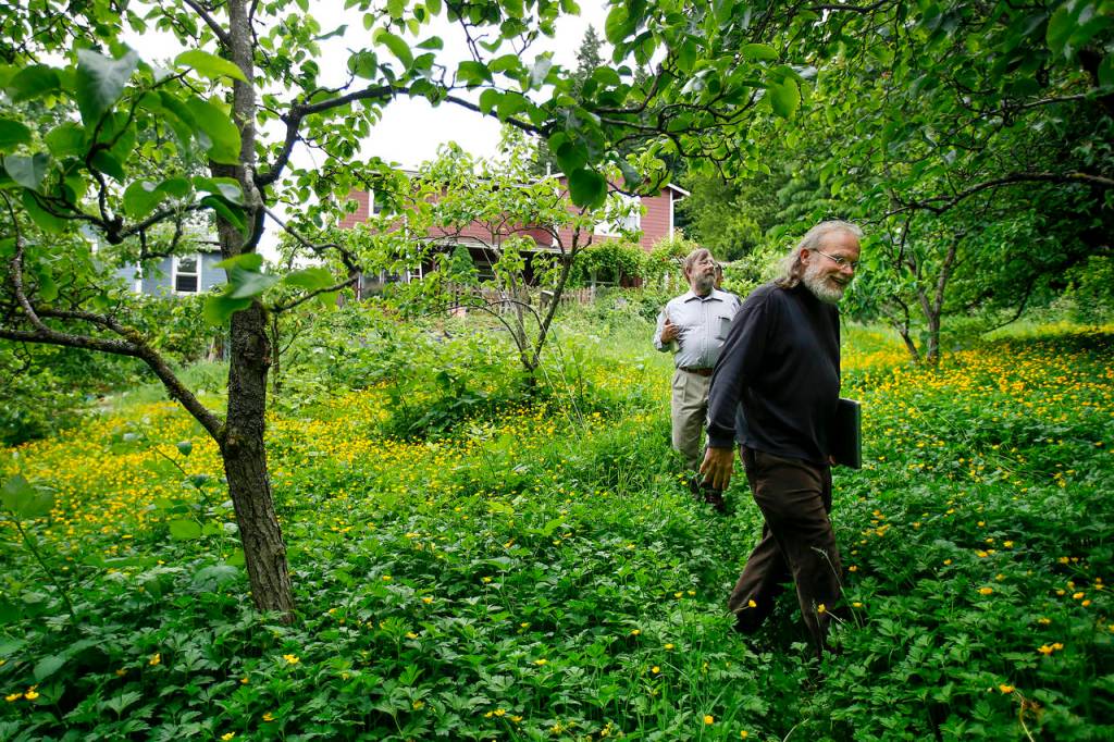 Songaia residents Scott &ldquo;Scotty&rdquo; Buckley (right) and Patrick Paul walk through the community&rsquo;s 13-acre property in Bothell on Thursday, June 1. Residents of Songaia live in their own homes but share and harvest the land surrounding them. (Ian Terry / The Herald)