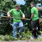 New Life Church members Tyler Mueller, of Lynnwood (left), Christian Klumper, of Everett (center) and Michael Dorgan, of Everett, pull out a dead tree in front of the Everett Public Schools Community Resource Center during the church&rsquo;s One Day event on Sunday. (Doug Ramsay / for The Herald)