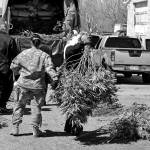 Solomon Banda / Associated Press                                Investigators load marijuana plants onto a Colorado National Guard truck outside a suspected illegal grow operation in Denver in 2016.
