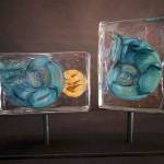 &ldquo;(R)evolutions&rdquo; is a series of glass blocks containing glass cephalopod shells. The blocks can be turned to view both sides of the shell.