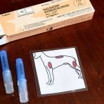 Police have a new strategy for protecting their four-legged partners, by carrying Naloxone for their dog, the same drug to reverse heroin overdoses in humans. (Charles Krupa / Associated Press)