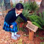 The U.S. Environmental Protection Agency recognized Elizabeth Sajan, a fifth-grader at St. Mary Magdalen School in Everett, for her work to promote the protection of bees. (Contributed photo)