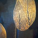 A series of fossil-like images, such as these leaves, are displayed in charcoal shadow boxes.