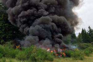 Woman arrested after series of suspicious fires in Marysville