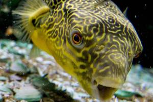 Herald photos of the week