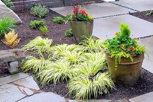 Say goodbye to grass: Replace your lawn with planting beds