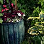 Gardening 101: The top 3 ways to become a better gardener