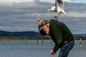 Herald photos of the week