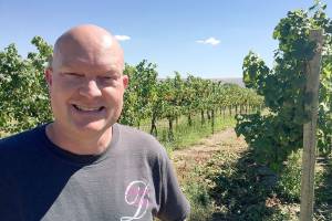 Cabernet franc emerges from big brother cabernet sauvignon’s shadow