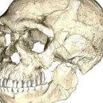 Earliest fossil evidence of Homo sapiens found in Morocco