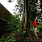 Sustainable Bothell community compromises with developers