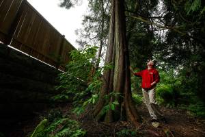 Sustainable Bothell community compromises with developers