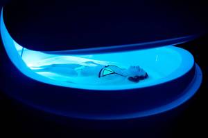 Float, relax: Send your stress upstream at Mill Creek spa