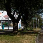 On a recent day, a cyclist crosses 23rd Street in Everett near the house Dustin and Clint Willard owned together before Dustin was shot and killed by Everett police officers on Nov. 8, 2008. (Ian Terry / The Herald)