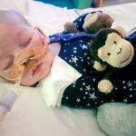 Baby Charlie Gard at Great Ormond Street Hospital in London. (Family of Charlie Gard via AP)