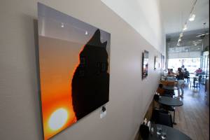 1 A cat and sunset photo, one of many sunset photos by artist Kari Quaas, hangs on the wall at Valley Organic Deli on Tuesday, July 18, 2017 in Everett, Wa. (Andy Bronson / The Herald)