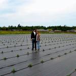 Zion and Kristy Hilliker, co-owners of B&B Family Farm in Sequim, stand in a new field of about 2,500 lavender plants they hope to harvest over and over in the coming years. About 70 percent of the new plants are Grosso lavender, Zion said. (Sequim Gazette photo by Matthew Nash)