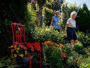 Janice Tallman follow&rsquo;s next-door neighbor Marilyn Larson through a gate that connects their gardens and down a sloped trail. Larson&rsquo;s garden (showing this side of the gate) is also part of the tour. (Dan Bates / The Herald)