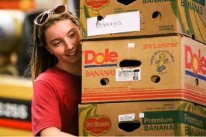 From farm to food bank: They collect unsold market produce