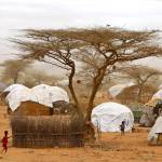 In this 2011 photo, refugees walk amongst huts at a refugee camp in Dadaab, Kenya. (AP Photo/Schalk van Zuydam, File)