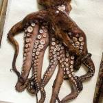 If you make the polpo e patate (octopus and potato braise), be prepared to spend a lot of time working with the octopus. The author cooked Pacific octopus. (Erin Pride-Swaney / For The Herald)