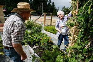 Warm Beach Senior Community members tend to a thriving garden