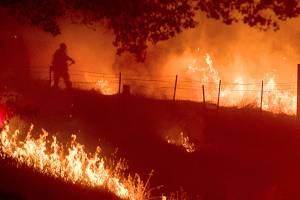 California blaze threatens 1,500 structures near Yosemite