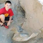 Boy trips over a 1 million-year-old fossil in New Mexico