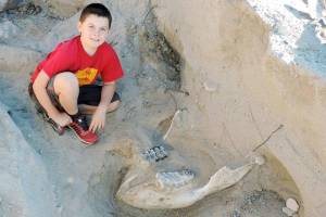 Boy trips over a 1 million-year-old fossil in New Mexico