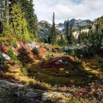 A summer hike through the Spade Lake Trail. (Photo by Michael Stjernholm)