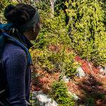 Step it up this summer: Take your hiking to the next level