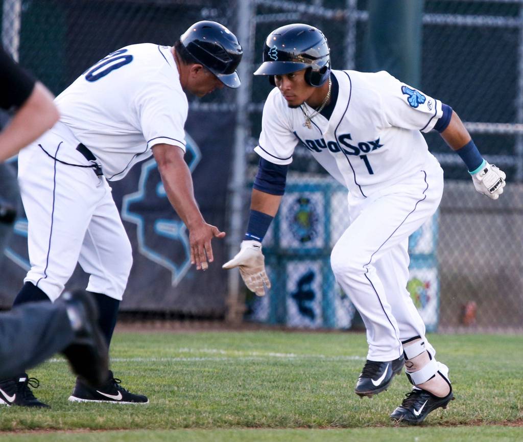 Everett AquaSox manager, Jose Moreno, low-fives Joseph Rosa after a home run single in the third inning against the Vancouver Canadians Monday night at Everett Memorial Stadium. (Kevin Clark / The Herald)
