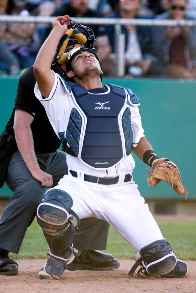 David Banuelos looks for a pop-up against the Vancouver Canadians at Everett Memorial Stadium on June 26. (Kevin Clark / The Herald)