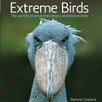 &ldquo;Extreme Birds: The World&rsquo;s Most Extraordinary and Bizarre Birds&rdquo; by Dominic Couzens. (Firefly Books)