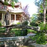 A tree was snapped in half by a 5.8-magnitude earthquake felt in Helena, Montana, on Thursday. The quake and numerous aftershocks were centered about 30 miles away in Lincoln, Montana, and could be felt as far away as Washington state. (AP Photo/Matt Volz)