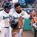 Everett&rsquo;s Johnny Adams (left) congratulates Eugene Helder after Helder scored a run during the AquaSox&rsquo;s 13-3 win over Tri-City Wednesday night at Everett Memorial Stadium. (Kevin Clark / The Herald)