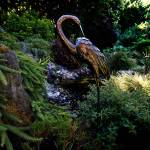 herJanice Tallman&rsquo;s garden, which people call &ldquo;The Butchart Gardens of Everett,&rdquo; wraps all the way around her home that overlooks Puget Sound, the islands and the peninsula. Here, near the entrance, is a lovely pond and bronze heron. (Dan Bates / The Herald)