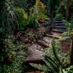 Lovely pathways bring enchantment to the peripheries. (Dan Bates / The Herald)