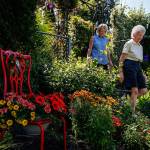 Janice Tallman follows next-door neighbor Marilyn Larson through a gate that connects their gardens and down a sloped trail. Larson&rsquo;s garden (showing this side of the gate) is also part of the tour. (Dan Bates / The Herald)