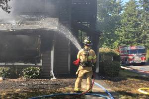 Stove-ignited fire near Everett injures woman, kills 2 dogs