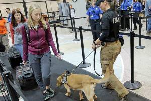 With record travelers, TSA offers tips to avoid hassles
